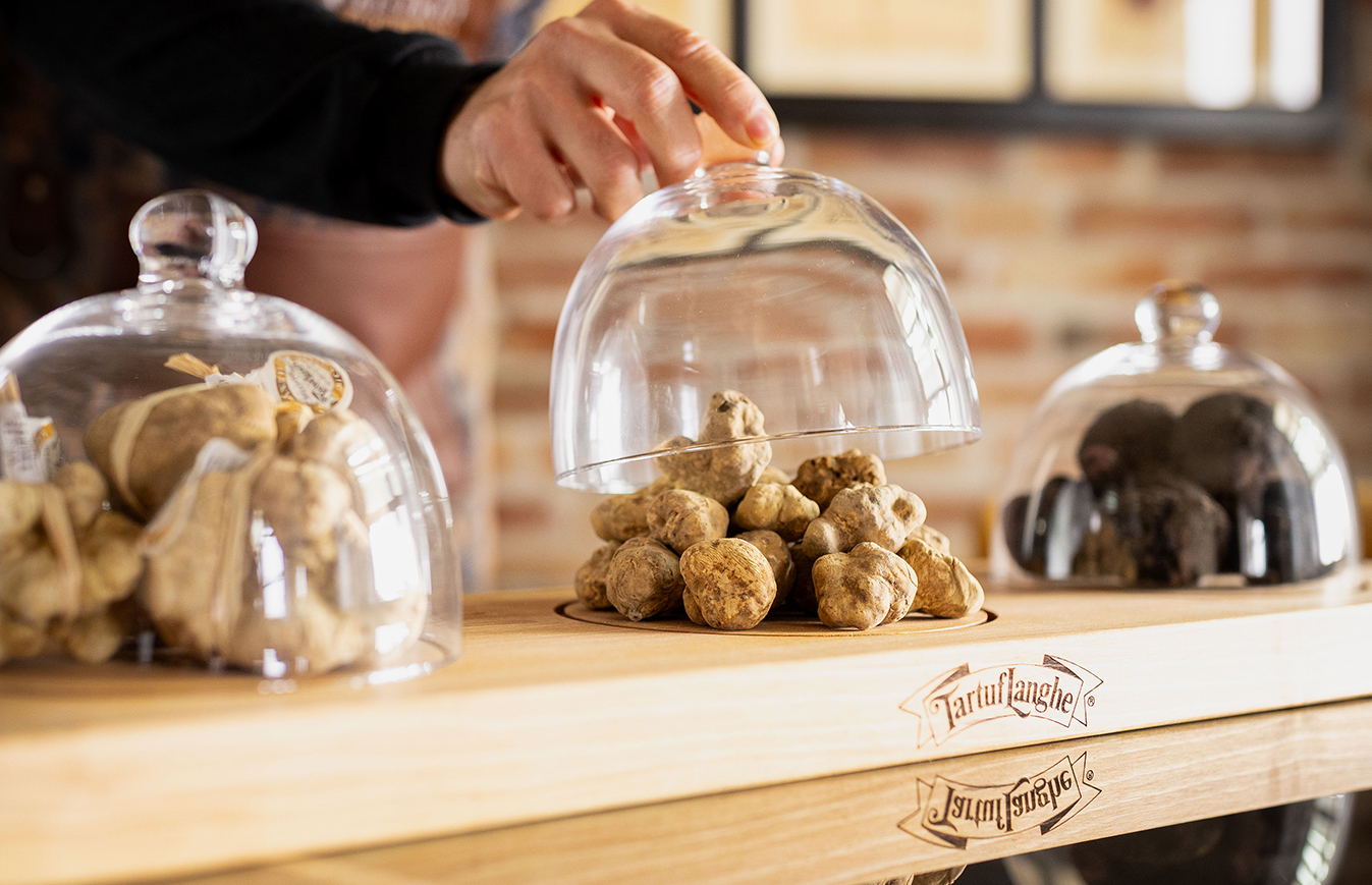 Tartufi esposti sotto campane di vetro